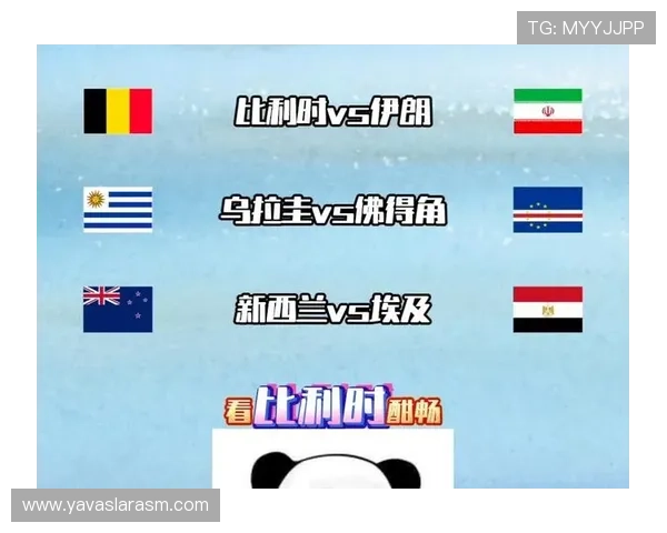 世界杯伊朗VS比利时比赛的赛场氛围与球迷支持情况报道